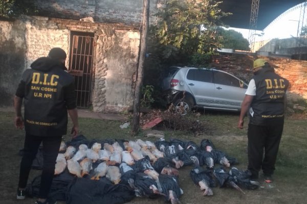 La Policía decomiso piezas ictícolas que eran trasportadas en un automóvil