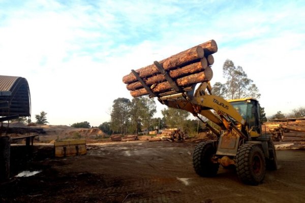 La producción maderera en Corrientes lleva 7 meses de retracción