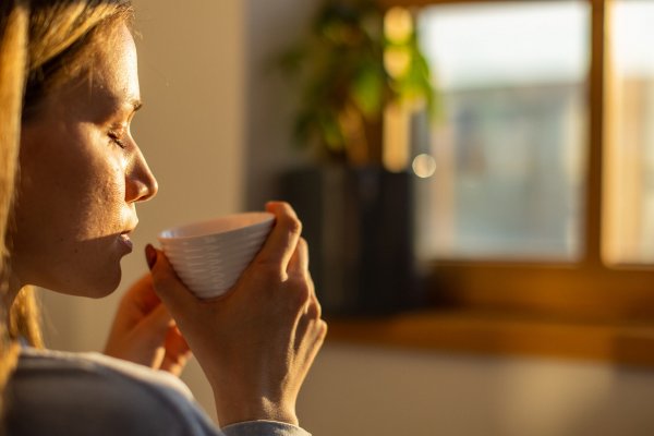 Col rizada, bayas y té, los mejores ingredientes para que tu cerebro no se agote en la vuelta al trabajo