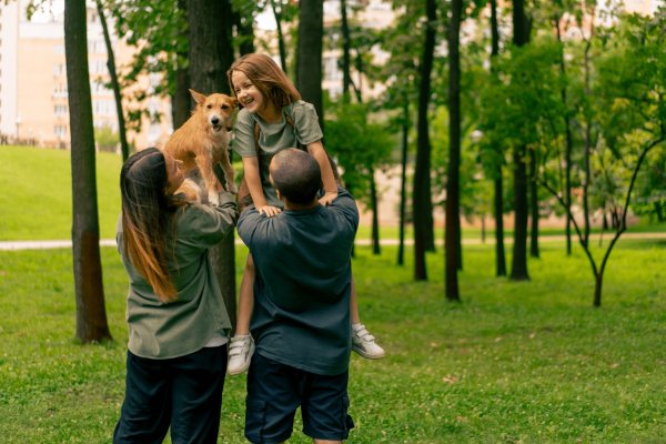 ¿Querés viajar con tu mascota? Wyndham Garden Campana lanza paquete “Pet Friendly”