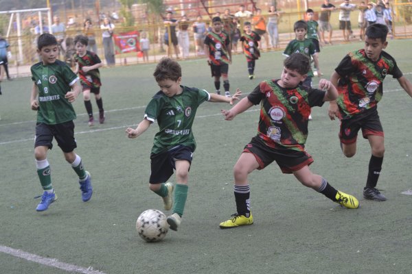 La LCF sigue creciendo: actualmente cuenta con casi 22 mil jugadores inscriptos