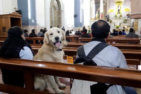 Se reallizará una bendición de mascotas