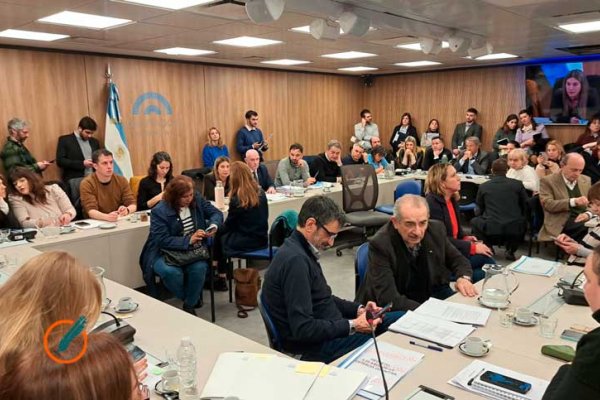 Se abre el debate en Diputados sobre la reforma de la ley de DNU para limitar a Milei