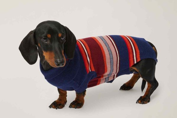 Harmont & Blaine presenta su nueva colección My Dog & I