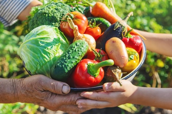 Investigadores de la UNNE analizan el impacto de las Medidas Económicas en la Alimentación