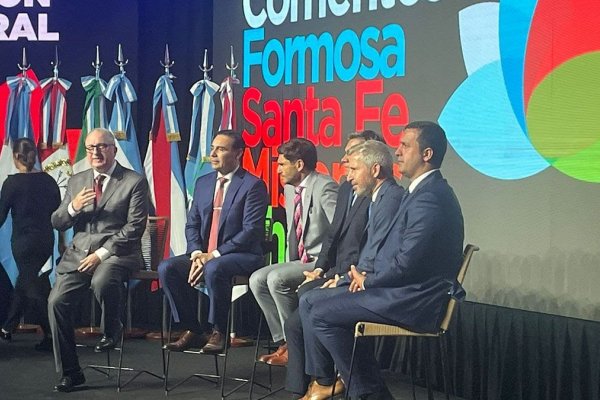 FUERTES CRÍTICAS A MILEI: Seis provincias incluida Corrientes constituyeron la Región Litoral