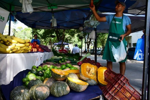 Los feriantes estarán hoy en Plaza La Cruz
