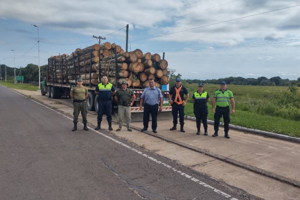 PAPELES TRUCHOS! Detienen un camión flojo de documentaciones