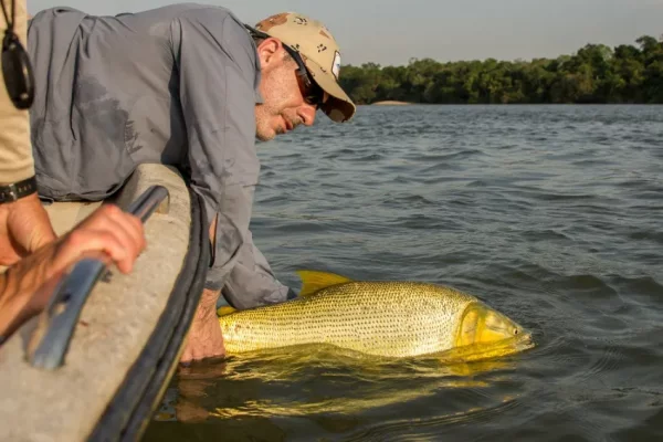 Crean un comité de pesca de la región Litoral: Corrientes busca unificar vedas y proteger al dorado