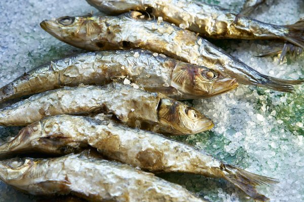 Kristen Carley, nutricionista, anima a comer en abundancia uno de los pescados más baratos de España:  