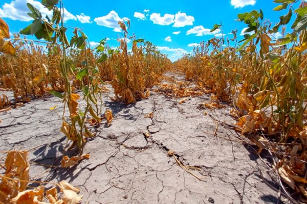 El Ministerio de Economía declaró la emergencia agropecuaria por sequía para Santa Fe