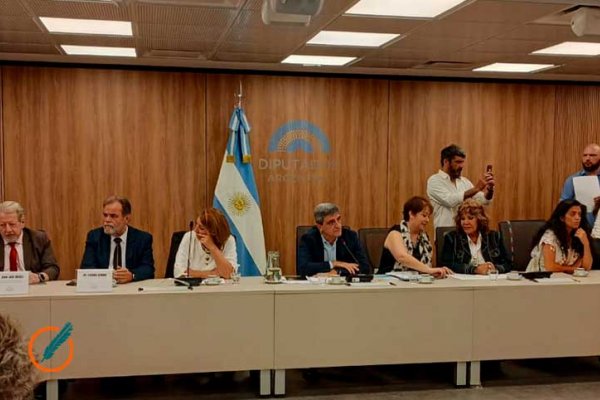 Diputados: el ministro Lugones, y el titular del PAMI ignoraron la convocatoria de la Comisión de Salud