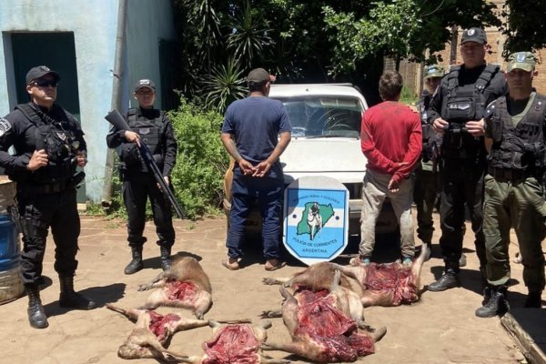 Secuestran animales silvestres faenados