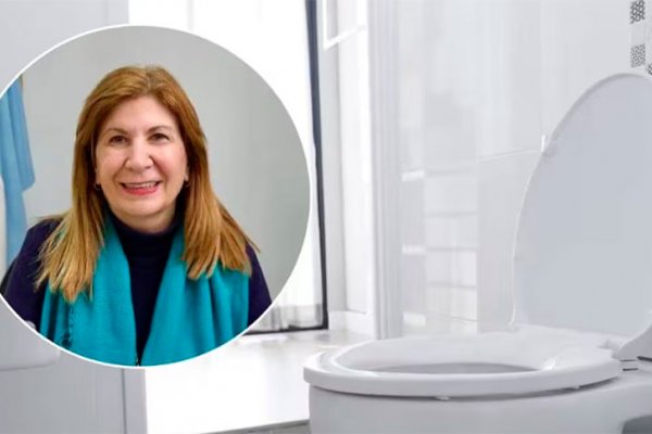 El trono más que sagrado: una diputada solicitó que se declare al inodoro como “un lugar para la paz”