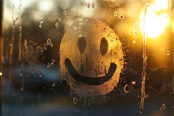 Un estudio afirma que el nivel de felicidad de los argentinos es el más alto de los últimos 7 años