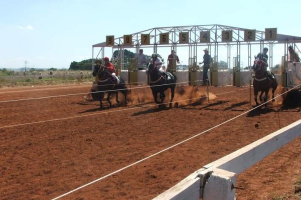 JUSTICIA! Indagarán al dueño del Stud correntino por la muerte de un caballo en el Hipódromo de Posadas