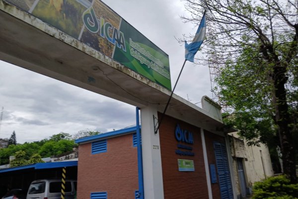 Corrientes: desidia en organismo ambiental también apuntado por demorar estudios para el segundo puente con Chaco