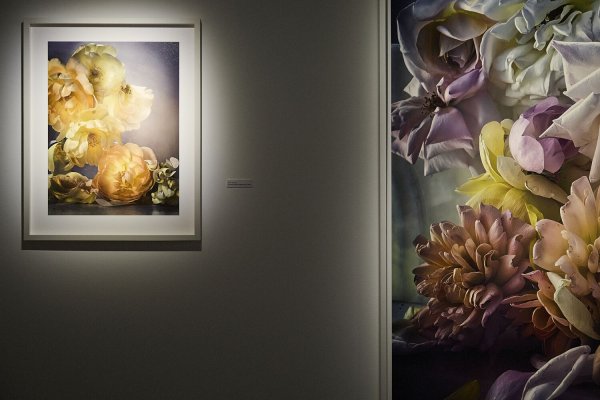 Nick Knight, fotógrafo: 