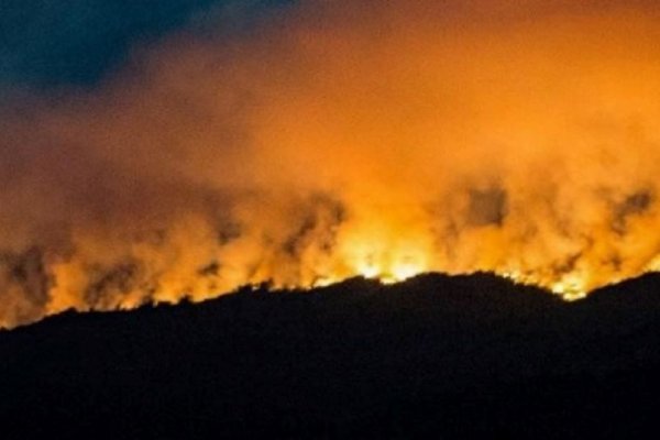 Relanzan campaña para prevenir los incendios en la Patagonia