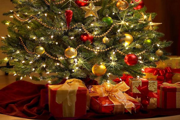 5 libros para leer y regalar en Navidad