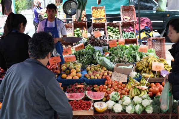 Las ferias de la ciudad estarán hoy en barrio Centro y barrio Libertad