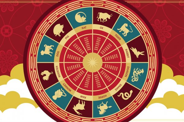 HORÓSCOPO CHINO! Conocé qué te deparará 2025 según las predicciones de Ludovica Squirru