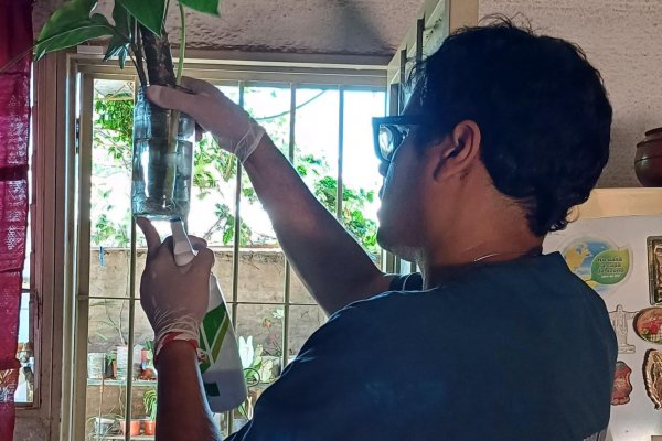 Salud Pública pide intensificar la prevención del dengue en pleno verano y turismo