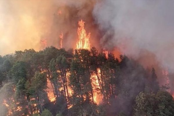 Los incendios en el Parque Nahuel Huapi ya afectaron más de 2.200 hectáreas