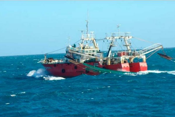 Pesca: funcionarios ineptos y empresarios sin estrategia