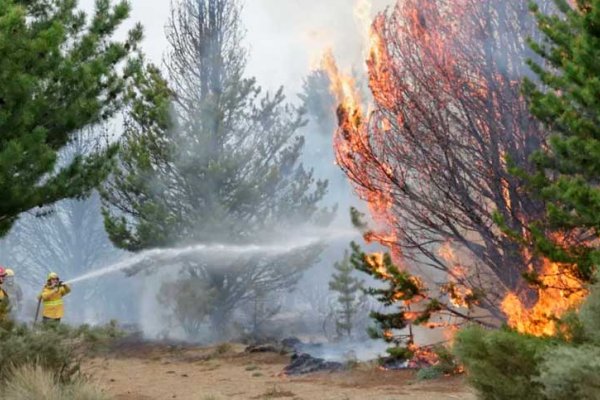 Incendios en Bariloche: el fuego sigue avanzando y son más de 3.400 las hectáreas arrasadas