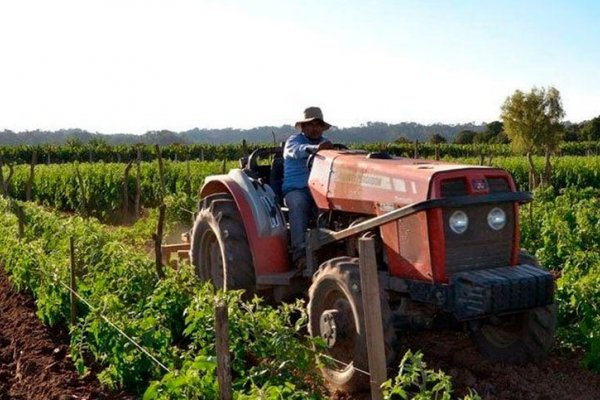 Un nuevo paradigma en el agro argentino