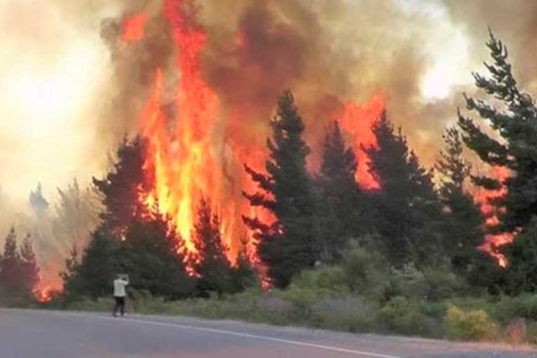 Sur en llamas: más de 4.000 hectáreas fueron arrasadas en Bariloche y otras 2.400 en Epuyén