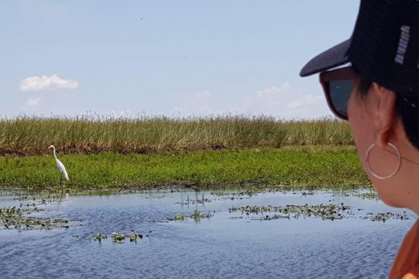Según el gobierno provincial: Corrientes alcanzó 72% de ocupación turística