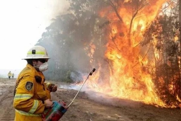 Varios incendios arrasan más de 65.000 hectáreas en Australia