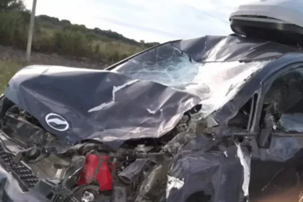 Una familia paraguaya chocó con su auto a un caballo suelto en la ruta correntina
