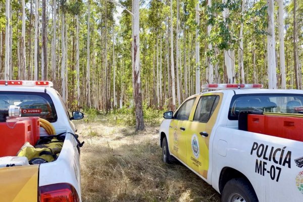 Sin fuego activo en la provincia debido a las lluvias