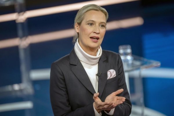 Este es el programa de Alternativa por Alemania y Alice Weidel para las elecciones en Alemania