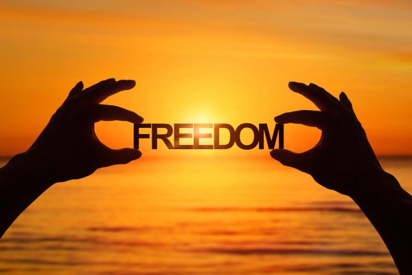 La cuestión libertaria o el dilema entre 