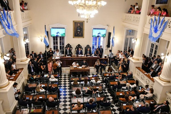 CASO LOAN! Qué dijo Gustavo Valdés en su último discurso ante el Poder Legislativo