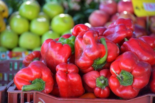 Dónde estarán ofreciendo sus productos hoy las Ferias de la Ciudad