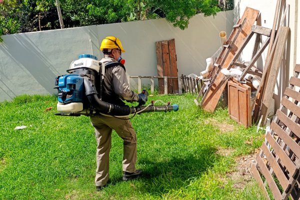 DENGUE! Corrientes suma nuevos casos del mosquito