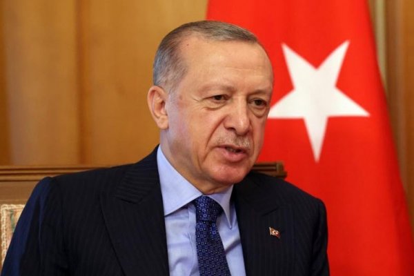 Erdogan muestra su respaldo a la tregua aérea y marítima propuesta por Zelenski
