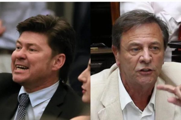 ACUERDO CON EL FONDO! Evalúan sacar al correntino Lisandro Almirón de la bicameral de DNU