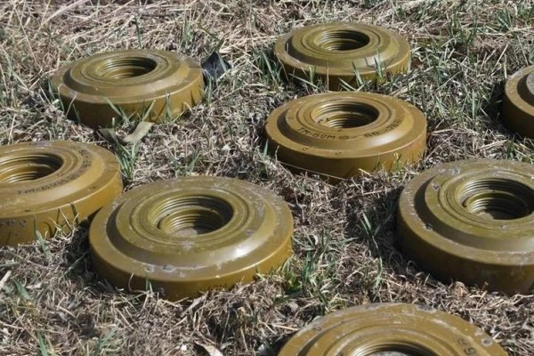 Polonia no descarta colocar minas antipersona en sus fronteras con Rusia y Bielorrusia