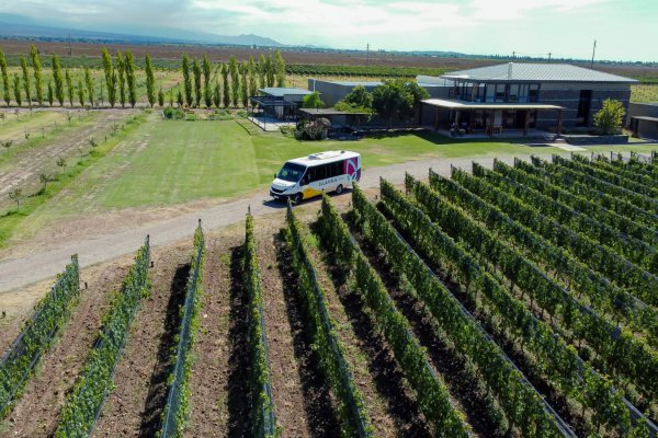 Winebus, Quien dijo que visitar las bodegas era caro?