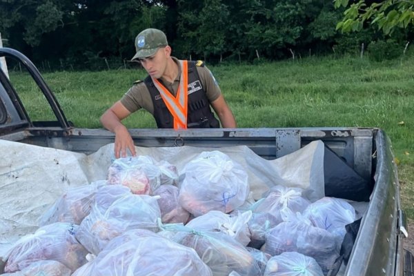 TREMENDO! Mataron una vaca y lo pusieron en 36 bolsas
