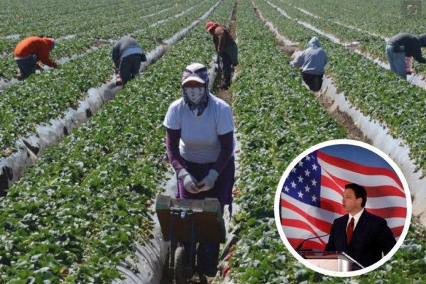 El gobernador de Florida propone que los niños de 14 años puedan trabajar ante la falta de mano de obra inmigrante: «¿Qué hay de malo?»
