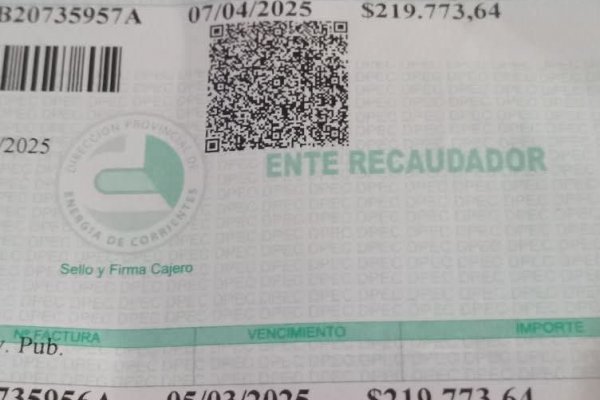 INDIGNACIÓN! Una jubilada correntina debe pagar más de $400.000 de luz a la DPEC