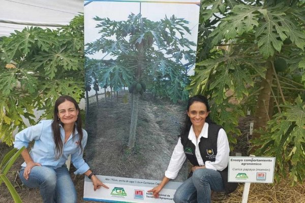 MAMÓN! INTA Y UNNE elaboran un manual para potenciar la producción en el NEA