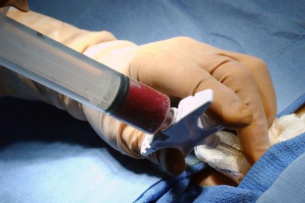 DONAR VIDA! Casi 7 mil correntinos ya están inscriptos en el registro nacional